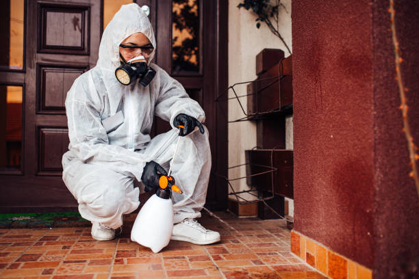 Attic and Crawl Space Rodent Treatment in Angustura